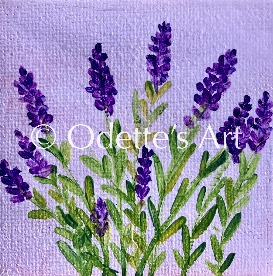 Odette van Doorne - Odette's Art - Little Lavender