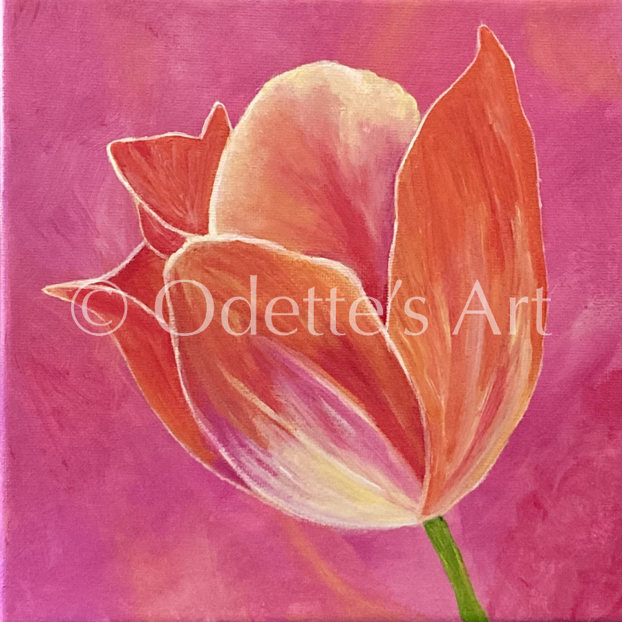 Odette van Doorne - Odette's Art - Tulip