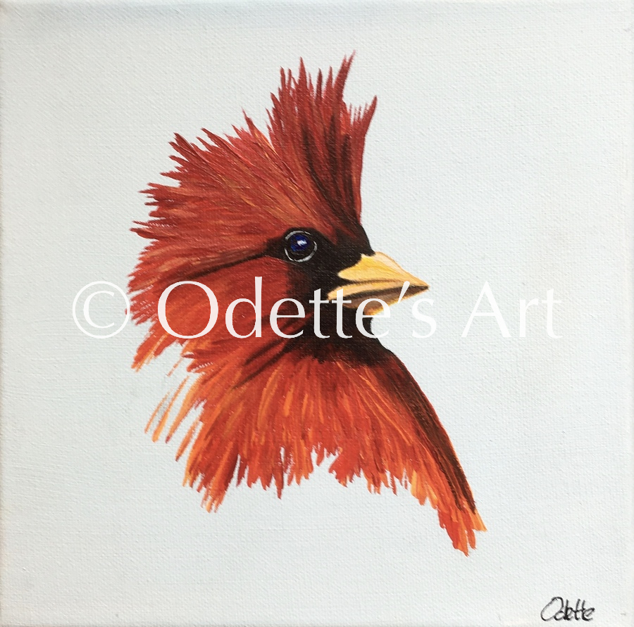 Odette van Doorne - Odette's Art - Red Cardinal